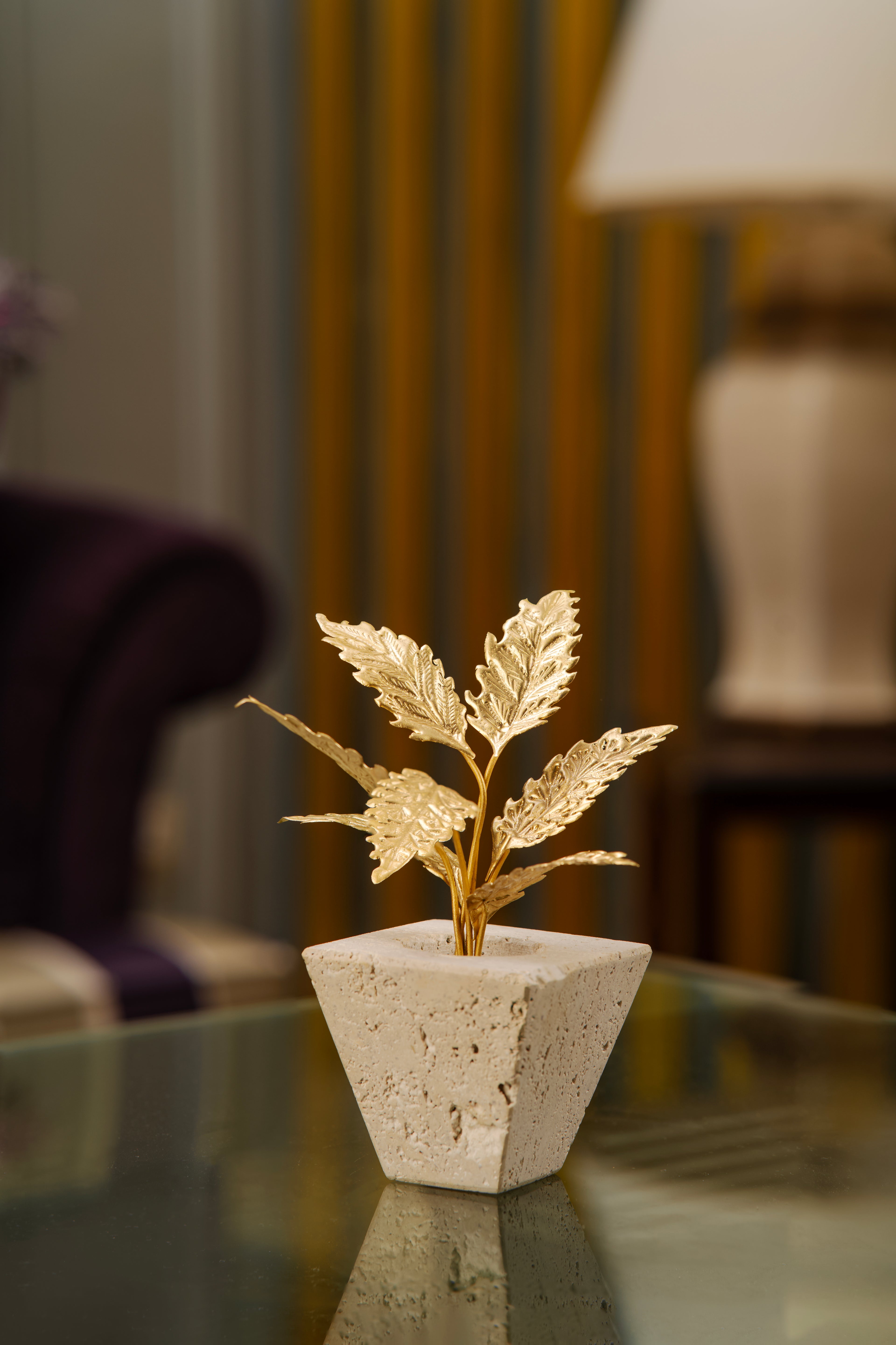 The Petra Acer