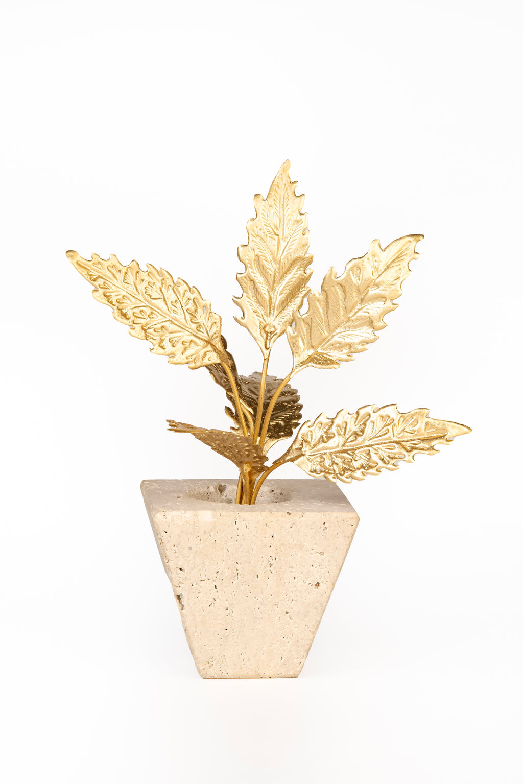 The Petra Acer