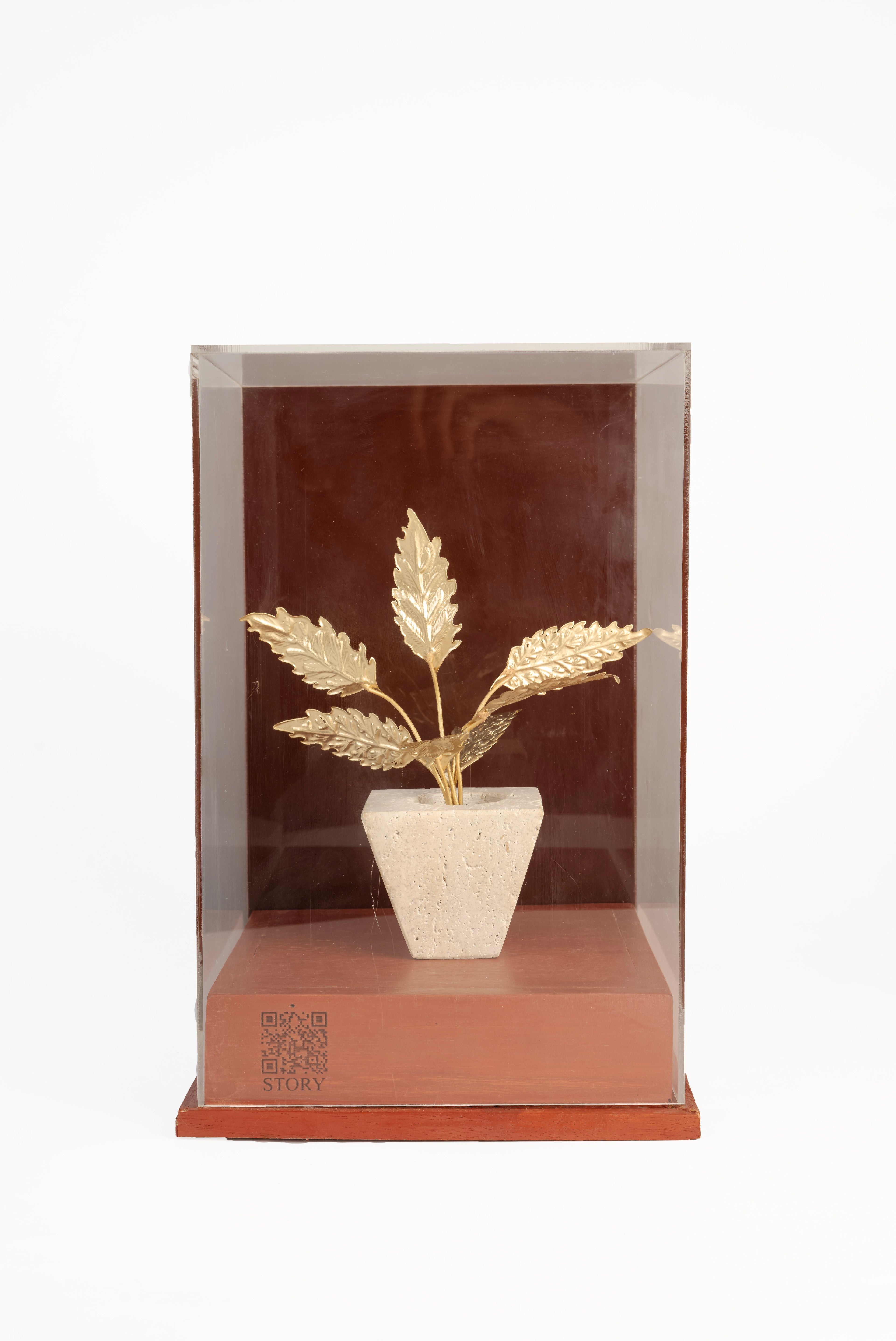 The Petra Acer
