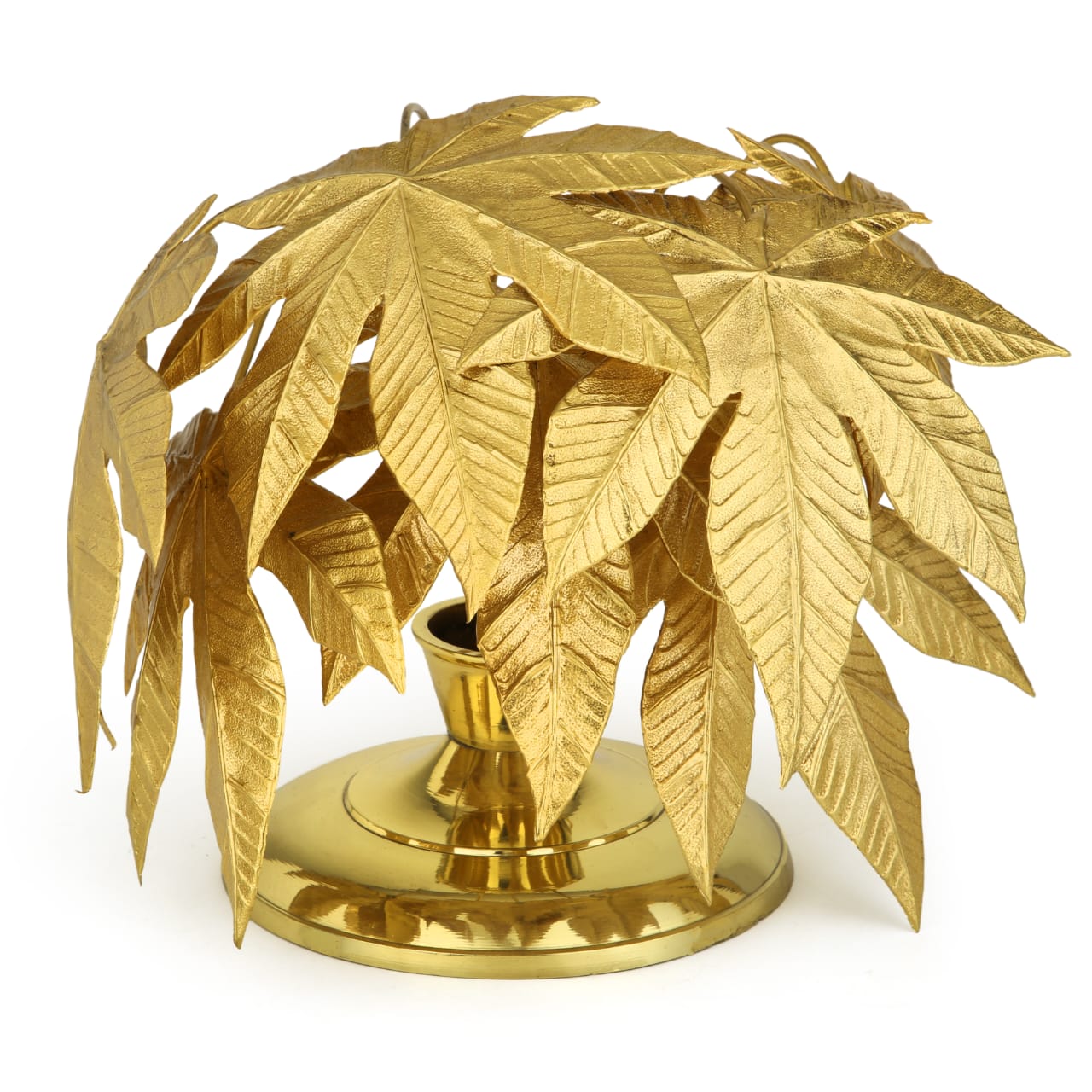 Maple - Acer - Silent Patriot
