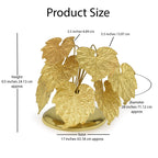 Intox Golden Grape Leaf