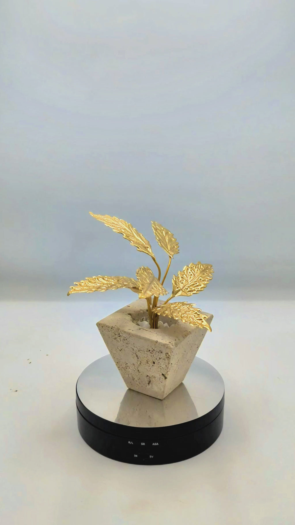 The Petra Acer