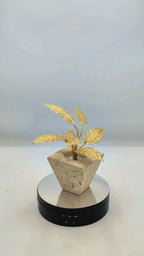 The Petra Acer