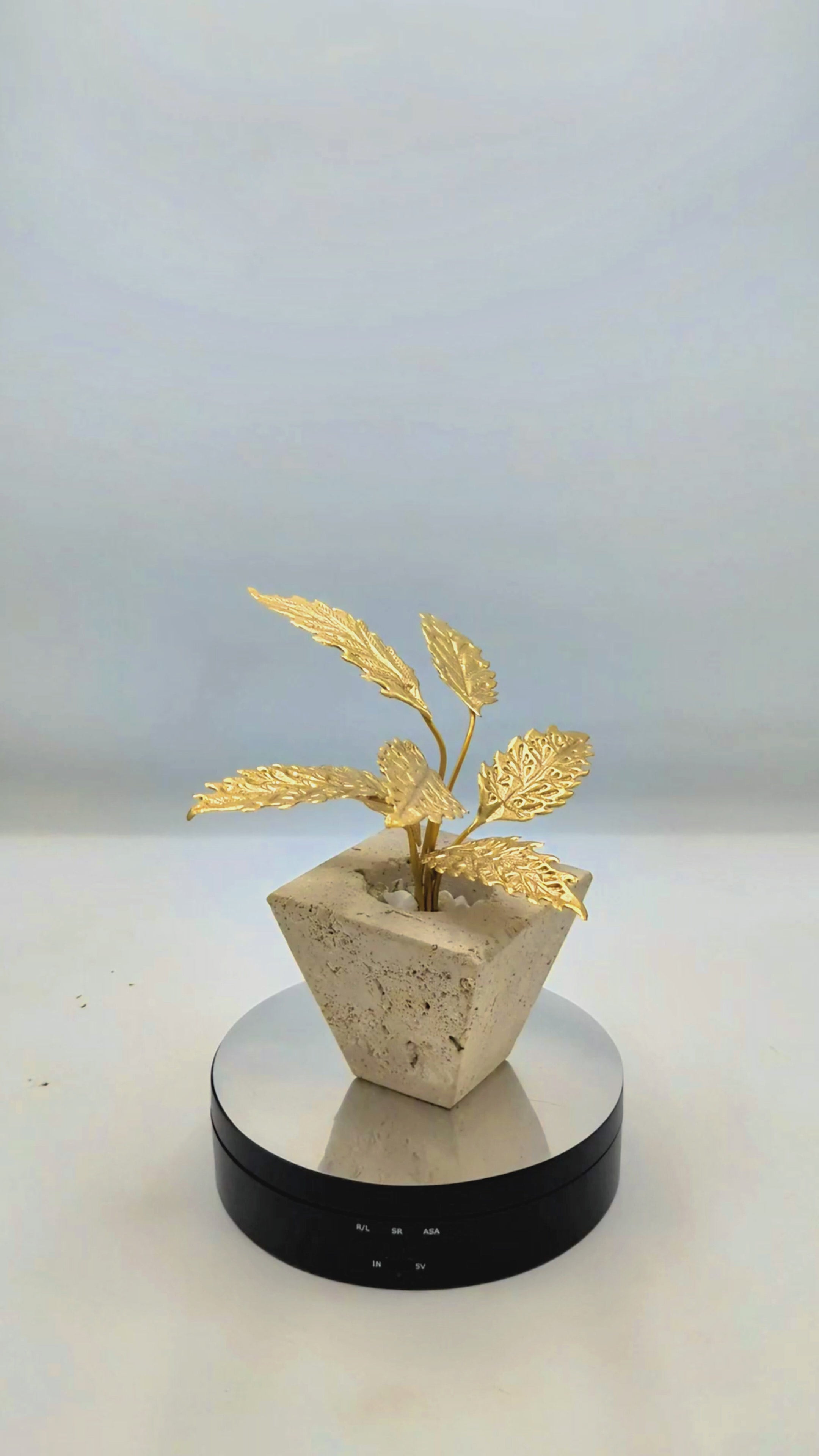 The Petra Acer